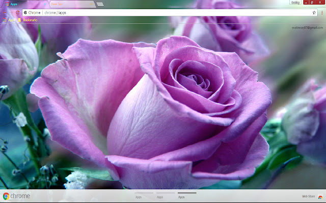 Earth Rose from Chrome web store to be run with OffiDocs Chromium online Earth Rose from Chrome web store to be run with OffiDocs Chromium online