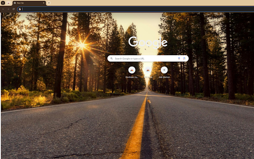 endless road leading into the forest at sunset from Chrome web store to be run with OffiDocs Chromium online endless road leading into the forest at sunset from Chrome web store to be run with OffiDocs Chromium online