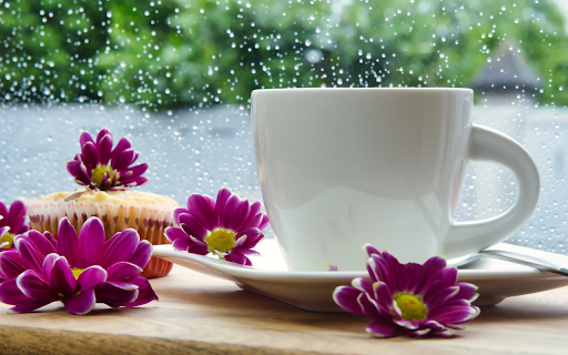 Enjoy tea and watch the rain from Chrome web store to be run with OffiDocs Chromium online Enjoy tea and watch the rain from Chrome web store to be run with OffiDocs Chromium online