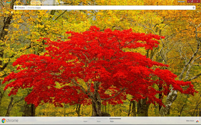 Fall Landscape Newhalem Washington from Chrome web store to be run with OffiDocs Chromium online Fall Landscape Newhalem Washington from Chrome web store to be run with OffiDocs Chromium online