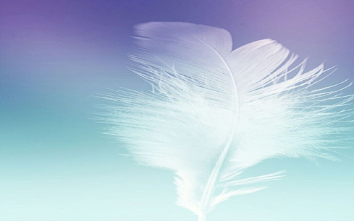 Feather wallpaper from Chrome web store to be run with OffiDocs Chromium online Feather wallpaper from Chrome web store to be run with OffiDocs Chromium online