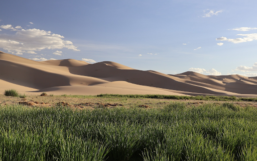 Fine sand and green grass from Chrome web store to be run with OffiDocs Chromium online Fine sand and green grass from Chrome web store to be run with OffiDocs Chromium online