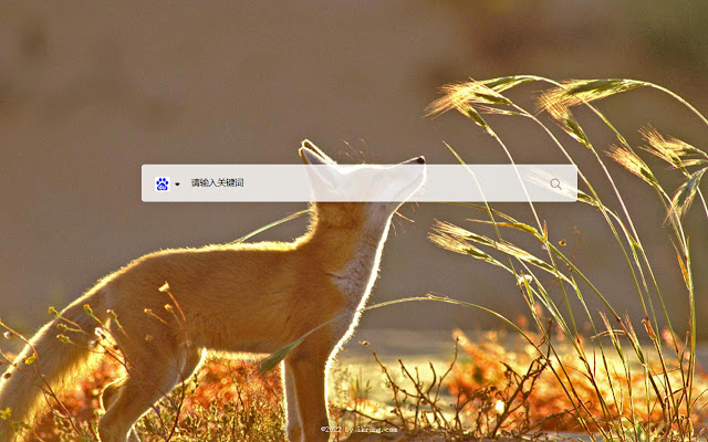 FlexTab 新标签页 from Chrome web store to be run with OffiDocs Chromium online FlexTab 新标签页 from Chrome web store to be run with OffiDocs Chromium online