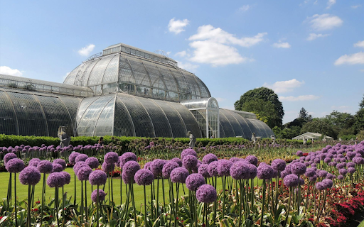 Flower farm from Chrome web store to be run with OffiDocs Chromium online Flower farm from Chrome web store to be run with OffiDocs Chromium online