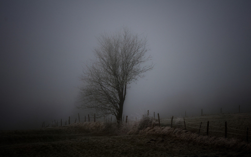 Fog and fences from Chrome web store to be run with OffiDocs Chromium online Fog and fences from Chrome web store to be run with OffiDocs Chromium online