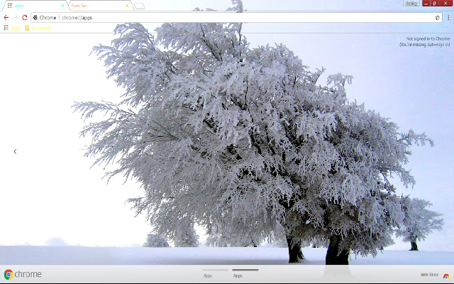 Frost White Winter from Chrome web store to be run with OffiDocs Chromium online Frost White Winter from Chrome web store to be run with OffiDocs Chromium online