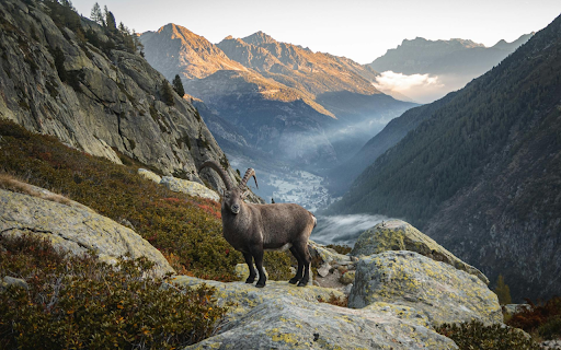 Goat on the mountain from Chrome web store to be run with OffiDocs Chromium online Goat on the mountain from Chrome web store to be run with OffiDocs Chromium online