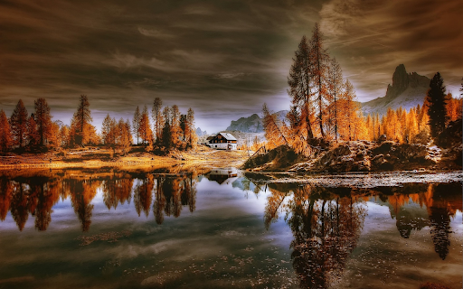 Golden forest with black clouds from Chrome web store to be run with OffiDocs Chromium online Golden forest with black clouds from Chrome web store to be run with OffiDocs Chromium online