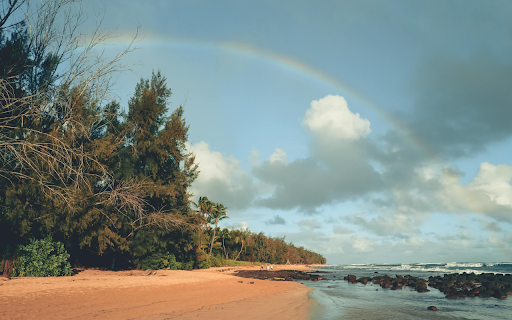 Golden Sand Beach from Chrome web store to be run with OffiDocs Chromium online Golden Sand Beach from Chrome web store to be run with OffiDocs Chromium online