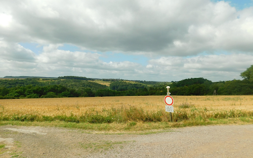 Grass fields and green trees from Chrome web store to be run with OffiDocs Chromium online Grass fields and green trees from Chrome web store to be run with OffiDocs Chromium online