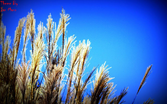 Grassland 2 from Chrome web store to be run with OffiDocs Chromium online Grassland 2 from Chrome web store to be run with OffiDocs Chromium online