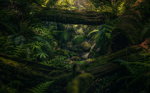 Green Mossy Rock Stream from Chrome web store to be run with OffiDocs Chromium online Green Mossy Rock Stream from Chrome web store to be run with OffiDocs Chromium online