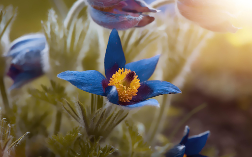 Green petal flower from Chrome web store to be run with OffiDocs Chromium online Green petal flower from Chrome web store to be run with OffiDocs Chromium online