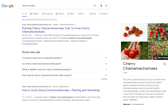 Haachama language from Chrome web store to be run with OffiDocs Chromium online Haachama language from Chrome web store to be run with OffiDocs Chromium online