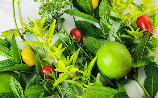Herbs in the garden from Chrome web store to be run with OffiDocs Chromium online Herbs in the garden from Chrome web store to be run with OffiDocs Chromium online