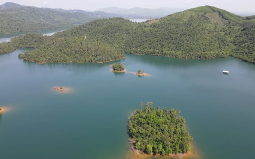 Ho Tinh Quang from Chrome web store to be run with OffiDocs Chromium online Ho Tinh Quang from Chrome web store to be run with OffiDocs Chromium online