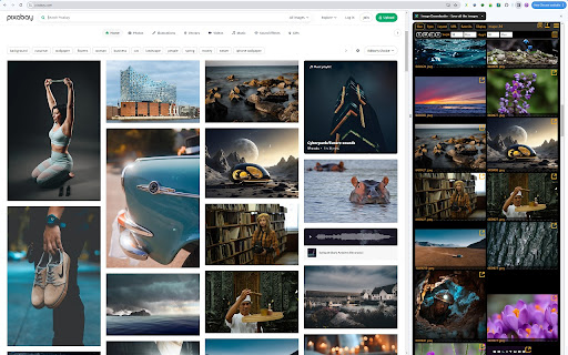 Image Downloader | Suricata from Chrome web store to be run with OffiDocs Chromium online Image Downloader | Suricata from Chrome web store to be run with OffiDocs Chromium online