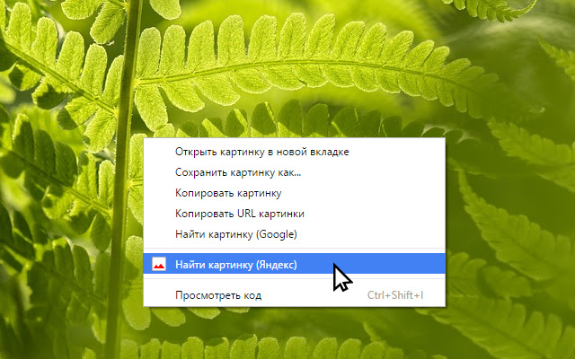 Image search for Yandex from Chrome web store to be run with OffiDocs Chromium online Image search for Yandex from Chrome web store to be run with OffiDocs Chromium online