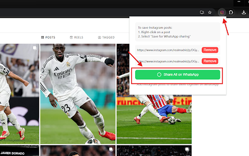 Instazap from Chrome web store to be run with OffiDocs Chromium online Instazap from Chrome web store to be run with OffiDocs Chromium online