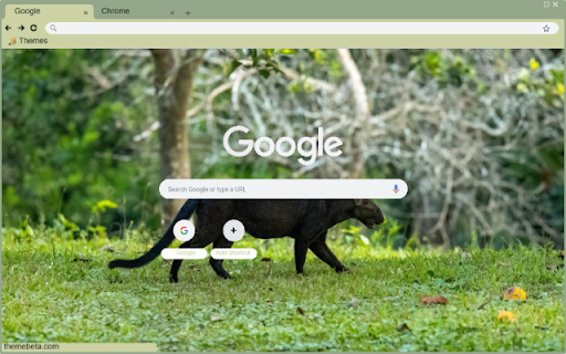 Jaguarundi from Chrome web store to be run with OffiDocs Chromium online Jaguarundi from Chrome web store to be run with OffiDocs Chromium online