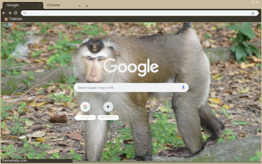 Khi dau cho from Chrome web store to be run with OffiDocs Chromium online Khi dau cho from Chrome web store to be run with OffiDocs Chromium online