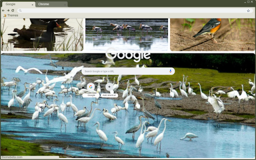 Khu sinh thái Giao Xuân from Chrome web store to be run with OffiDocs Chromium online Khu sinh thái Giao Xuân from Chrome web store to be run with OffiDocs Chromium online