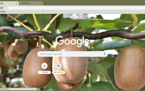 Kiwi Tree from Chrome web store to be run with OffiDocs Chromium online Kiwi Tree from Chrome web store to be run with OffiDocs Chromium online