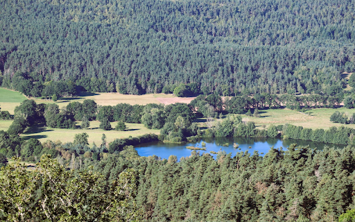 lake in the middle of the green forest from Chrome web store to be run with OffiDocs Chromium online lake in the middle of the green forest from Chrome web store to be run with OffiDocs Chromium online