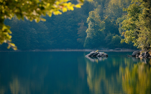 Lake of trees and rocks from Chrome web store to be run with OffiDocs Chromium online Lake of trees and rocks from Chrome web store to be run with OffiDocs Chromium online