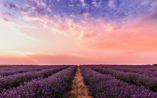 Lavender Sunset Dream from Chrome web store to be run with OffiDocs Chromium online Lavender Sunset Dream from Chrome web store to be run with OffiDocs Chromium online