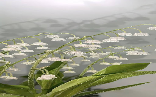 lily pot wallpaper from Chrome web store to be run with OffiDocs Chromium online lily pot wallpaper from Chrome web store to be run with OffiDocs Chromium online