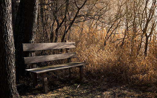 Lonely chair from Chrome web store to be run with OffiDocs Chromium online Lonely chair from Chrome web store to be run with OffiDocs Chromium online