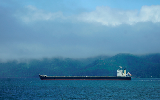 Long ship on the river from Chrome web store to be run with OffiDocs Chromium online Long ship on the river from Chrome web store to be run with OffiDocs Chromium online