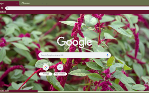 Love Lies Bleeding from Chrome web store to be run with OffiDocs Chromium online Love Lies Bleeding from Chrome web store to be run with OffiDocs Chromium online