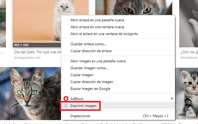 Menú imprimir imagen from Chrome web store to be run with OffiDocs Chromium online Menú imprimir imagen from Chrome web store to be run with OffiDocs Chromium online