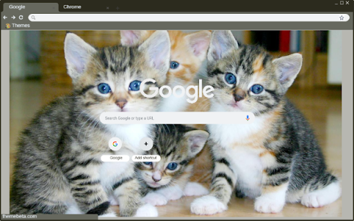 Meo from Chrome web store to be run with OffiDocs Chromium online Meo from Chrome web store to be run with OffiDocs Chromium online