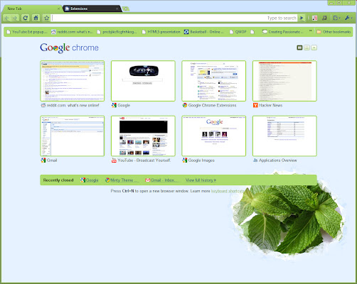 Minty Theme from Chrome web store to be run with OffiDocs Chromium online Minty Theme from Chrome web store to be run with OffiDocs Chromium online