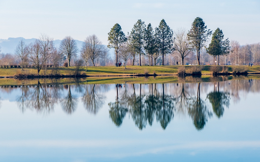 Mirror lakesurface from Chrome web store to be run with OffiDocs Chromium online Mirror lakesurface from Chrome web store to be run with OffiDocs Chromium online