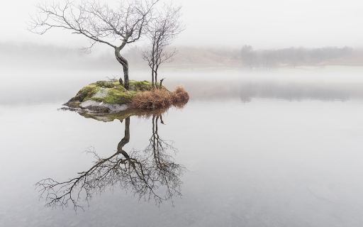Misty Lake Reflection from Chrome web store to be run with OffiDocs Chromium online Misty Lake Reflection from Chrome web store to be run with OffiDocs Chromium online