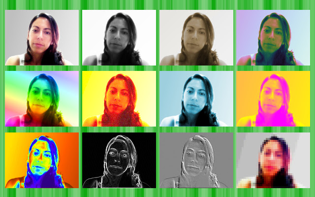 MonaCam from Chrome web store to be run with OffiDocs Chromium online MonaCam from Chrome web store to be run with OffiDocs Chromium online