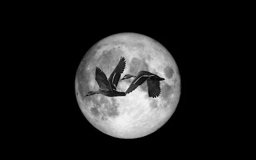 MOON Theme from Chrome web store to be run with OffiDocs Chromium online MOON Theme from Chrome web store to be run with OffiDocs Chromium online