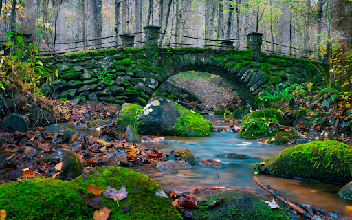 Mossy bridge from Chrome web store to be run with OffiDocs Chromium online Mossy bridge from Chrome web store to be run with OffiDocs Chromium online