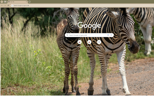 mother zebra and her foal grazing on the savannah from Chrome web store to be run with OffiDocs Chromium online mother zebra and her foal grazing on the savannah from Chrome web store to be run with OffiDocs Chromium online