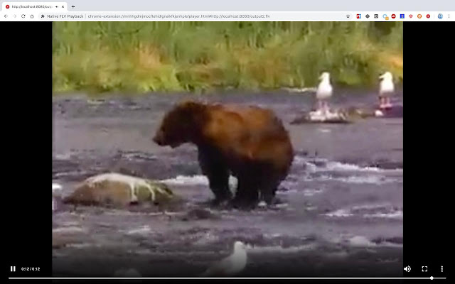 Native FLV Playback from Chrome web store to be run with OffiDocs Chromium online Native FLV Playback from Chrome web store to be run with OffiDocs Chromium online