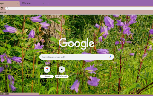Nettle leaved Bellflower from Chrome web store to be run with OffiDocs Chromium online Nettle leaved Bellflower from Chrome web store to be run with OffiDocs Chromium online