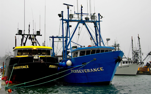 New ships from Chrome web store to be run with OffiDocs Chromium online New ships from Chrome web store to be run with OffiDocs Chromium online