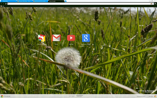 Normandie Ground peace from Chrome web store to be run with OffiDocs Chromium online Normandie Ground peace from Chrome web store to be run with OffiDocs Chromium online