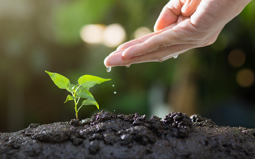 Nurturing New Life from Chrome web store to be run with OffiDocs Chromium online Nurturing New Life from Chrome web store to be run with OffiDocs Chromium online