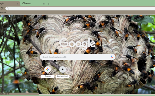 Ong Vo Ve from Chrome web store to be run with OffiDocs Chromium online Ong Vo Ve from Chrome web store to be run with OffiDocs Chromium online
