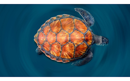 Orange Turtle from Chrome web store to be run with OffiDocs Chromium online Orange Turtle from Chrome web store to be run with OffiDocs Chromium online